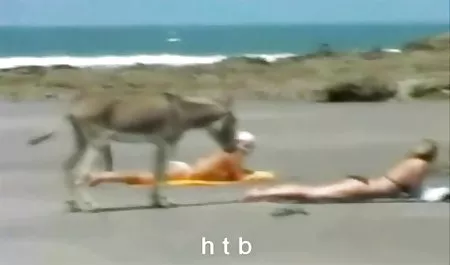 Sıkı kedi benim küçük külot swinger erotik filmler horoz ovuşturarak Joi