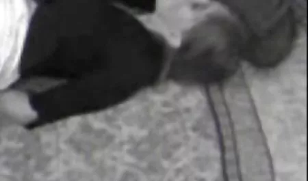Elle hint seks filmleri Aşk