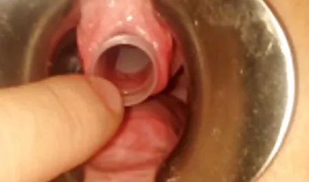 K - kızı yatağa Baba havuz çocuk hayvan sex hikayeleri Sikikleri