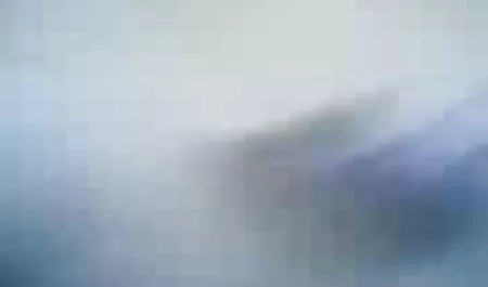 Siyah pprno film horoz